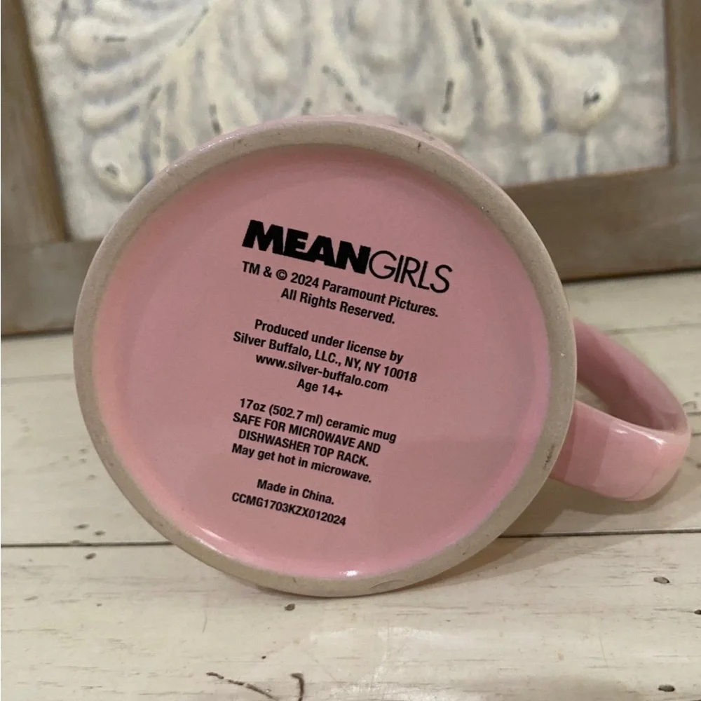MEAN GIRLS “You’re like really pretty” Regina George dimpled mug Brand new! - Picture 5 of 5